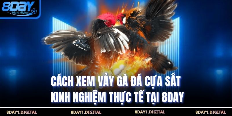 Cách Xem Vảy Gà Đá Cựa Sắt - Kinh Nghiệm Thực Tế Tại 8Day