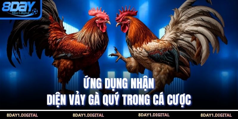 Ứng dụng nhận diện vảy gà quý trong cá cược